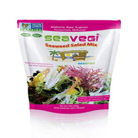 SeaVegi 海藻サラダミックス、0.9 オンス (12 個パック) SeaVegi Seaweed Salad Mix, 0.9 Ounce (Pack of 12)