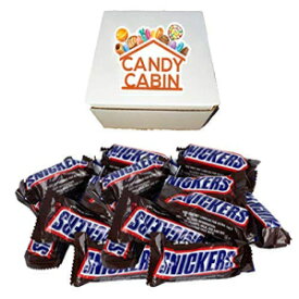 スニッカーズ ファンサイズ キャンディバー、バルクパック by CANDY CABIN (1ポンド) Snickers Fun Size Candy Bars, Bulk Pack by CANDY CABIN (1 Lb)