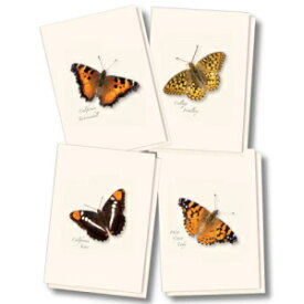 Earth Sky + Water - Western Butterfly アソートメント I ノートカード セット - 封筒付きブランクカード 8 枚 (4 スタイル各 2 枚) Earth Sky + Water - Western Butterfly Assortment I Notecard Set - 8 Blank Cards with Envelope