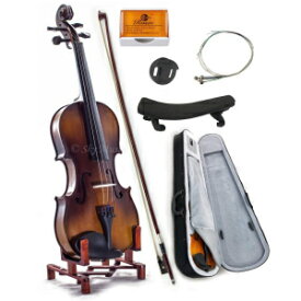 SKY 4/4 Full Size SKYVN201 Solid Maple Wood Violin with High Quality Lightweight Case, Brazilwood Bow, String, Rosin and Mute