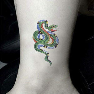 SanerLian Snake Dragon Temporary Tattoo Sticker Waterproof School Adult Men Women Hand Arm Party Favor Set of 5 (SF3642)