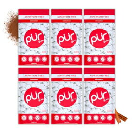 PUR Gum | Aspartame Free Chewing Gum | 100% Xylitol | Natural Cinnamon Flavored Gum, 55 Pieces (Pack of 6)
