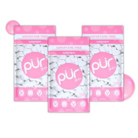 PUR Gum | Aspartame Free Chewing Gum | 100% Xylitol | Natural Bubblegum Flavored Gum, 55 Pieces (Pack of 3)