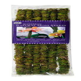 SuperMoss (22050) Moss Stakes Preserved, Fresh Green, 18" (Pack of 6)