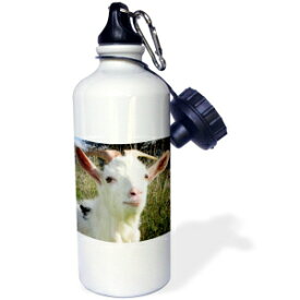 3dRose "Farm Animals Goat" Sports Water Bottle, 21 oz, White