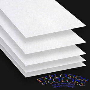 \ȃCNWFbghWFb\Hς 8.5 C` x 11 C` LoXpV[g (20 ) VViViD Printable Inkjet Primed Gessoed 8.5" x 11" Canvas Paper Sheets (20 Sheets)