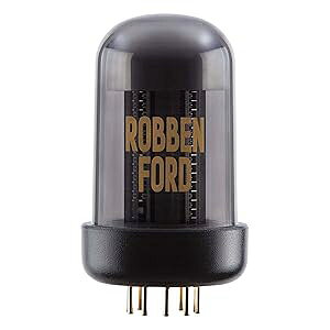 Roland BC-TC-RF Robben Ford Blues Cube Guitar Amplifier Tone Capsule