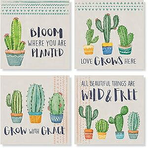 CarsonCactus Square House Coaster Set