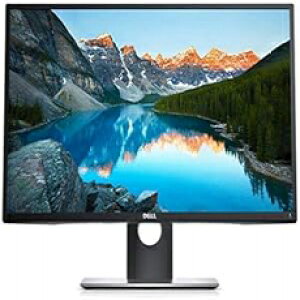 Dell vtFbVi P2417H 23.8 C` XN[ LED Ɩtj^[AubN Dell Professional P2417H 23.8" Screen LED-Lit Monitor, Black