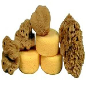 NGCeBuzr[ ѓVRVNX|W GAH|iA|AȂǗpA7pbN Creative Hobbies Synthetic and Natural Silk Sponges for ting, Crafts, Ceramics, Pottery and More, Value Pack of