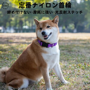  L  L ^  iC  Ck Vv iC  ^ v ϋv ʋC ߉\  U o F ybgpi т Nr@ ^ ^