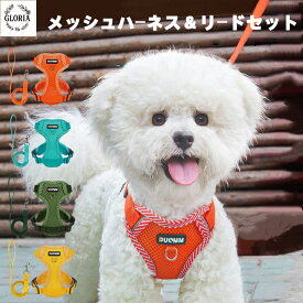 ペット用ハーネス＆リードセット 犬 ハーネス 小型犬 猫 中型犬 おしゃれ 犬用 胴輪 負担が少ない 犬具 ダブルロック メッシュ 抜けにくい犬具 簡単装着イヌ ドッグ お出かけ 散歩 外出 通院 災害 避難 ペット 服 牽引ロープ付き 夜間反射材 引っ張り防止