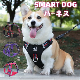 犬 ハーネス かわいい おしゃれ 負担が少ない 喉に当たらない 小型犬 中型犬 大型犬 ブランド 簡単装着 アウトドア 反射素材 夜間散歩 メッシュ 通気性抜群 ソフトパッド 安全 頑丈 軽量 調節可能 胴輪 引っ張り防止 快適 スポーツハーネス