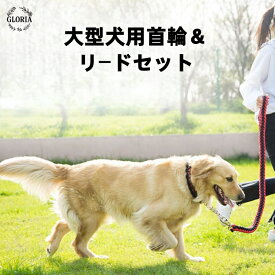 ペット用首輪＆リードセット 犬 首輪 極太 リード ハーフチョーク 2点セット ペット ドッグ チョーカー 編込み チェーン　頑丈　大型犬 超大型犬　中型犬　極太 編み紐 噛み癖 防止 ドッググッズ ペット用 おでかけ用品 リード 首輪