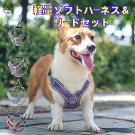 ペット用ハーネス＆リードセット ハーネス 小型犬 中型犬 おしゃれ 胴輪 負担が少ない 犬具 ダブルロック メッシュ 抜けにくい 簡単装着イヌ ドッグ お出かけ 散歩 外出 通院 ペット 牽引ロープ付き 引っ張り防止 通気性抜群 スポーツウエア かわいい　夜光反射