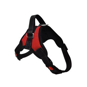  n[lX ^ ^ ^  킢 EȂ Č bN   nh ybg U ⏕  Gloria ́[˂  q ^ p  [h V  