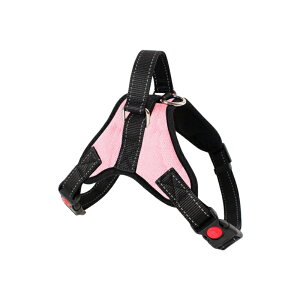  n[lX ^ ^ ^  킢 EȂ Č bN   nh ybg U ⏕  Gloria ́[˂  q ^ p  [h V  