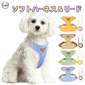 ペット用ハーネス＆リードセット 犬 ハーネス 小型犬 中型犬 ソフトハーネス 胴輪 紐型 メッシュ 通気性 ふわふわ クッション 調整可能 4点アジャスター かわいい おしゃれ 散歩用 リード付き セット 軽量 負担軽減 ペット用品