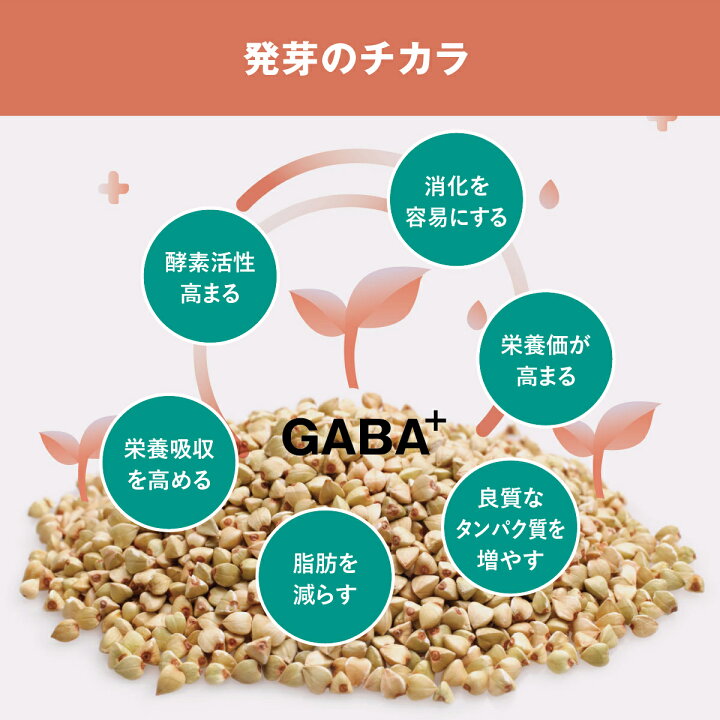 楽天市場 オールナチュラル発芽アーモンド ピスタチオローズマリーガーリック130g グラブ ゴーシリーズ ダイエット 食物繊維 美容 健康 朝食 間食 オーガニック おやつ グローリートレーディングストア