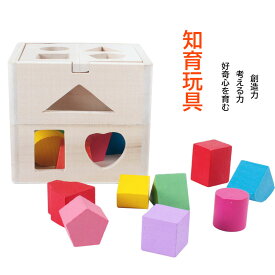 【送料無料】 知育玩具 木のおもちゃ 形合わせパズルボックス 木製型はめパズル 知力開発 図形認知 空間認識 着手力 図形 幾何