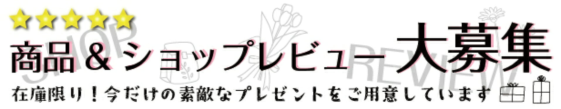 レビュープレゼントキャンペーン