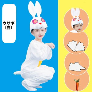 ѕz X  ETM pW} qp xr[ I[C Iׂ10^Cv [EFA LbY o   ߑ NX}X v[gO[[p[N