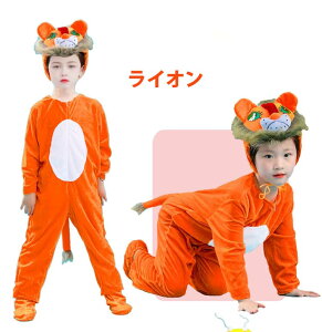 ѕz X  ETM pW} qp xr[ I[C Iׂ10^Cv [EFA LbY o   ߑ NX}X v[gO[[p[N