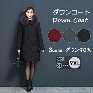 _ER[g _E90 fB[X O _EWPbg Xqt t[h t@[t t@[O  y 傫TCY 2L~10L  ubN bh n O[  AE^[ ~