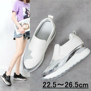 fB[XXb| Xj[J[  V[Y  C 傫TCY TCY22.5`26.5cm  AC{[ F