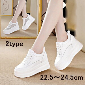 Xj[J[ fB[X [XAbv Xj[J[  ᔽ vbgtH[V[Y Xj[J[ [Jbg Cq[+q[9cm yszO[[p[N