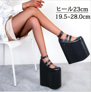 ꃍ[t@[ SX q[23cm [^C  ۂĂ pvX SVbN nCvbgtH[V[Y ۂܐ B^C B^pvX vbgtH[q[ PU 