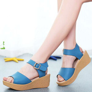 TCY T_ fB[X 21.0 傫TCY  21.5 26.0   EFbW\[ RtH[gT_ q[T_ nCq[ TCY21.5 q[6.5  E