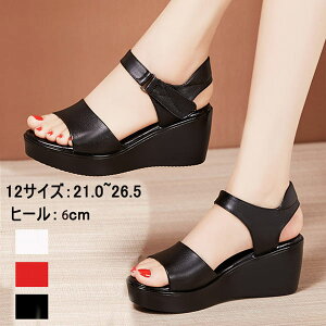 V T_ fB[X  EFbW\[ RtH[gT_ 傫TCY q[T_ nCq[ TCY q[6 Sn悢  EFbW T_ r 