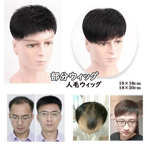 EBbO YEBbO  wAs[X |CgEBbO t B ~^Eя  B ʋC̗ gbvJo[ igO[[p[N