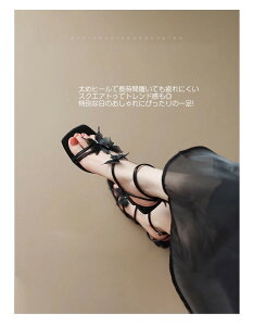 fB[X T_ X`[t q[T_ Xgbvt 6.5cmq[ q[ ɂȂ ₷   22.0cm`24.5cm  p[eB[   i AC{[/ubN