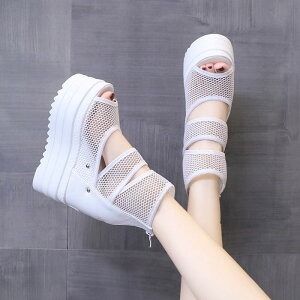 r T_ fB[X nCq[ bV Xgbv T_ ɂ ɂ 12cm q[Abv Cq[ X|[eB[ ČC   22.0cm`24.5cmO[[p[N