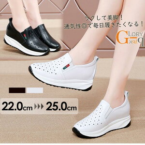 Xb| fB[X Xj[J[ y p`O bV ʋC ₷ C   ɂ 22.5`25.0cm