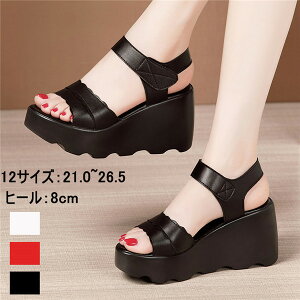 V T_ fB[X  EFbW\[ RtH[gT_ 傫TCY q[T_ TCY q[8 Sn悢  EFbW T_ r  C 