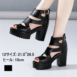 12TCY T_ fB[X  q[ xg u[cT_ 傫TCY RtH[gT_ T_ nCq[ Xg[ T_ q[10cm Sn悢 TCY C