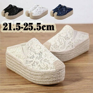 fB[X T_ q[6cm ʋC  EFbW\[ ƂȂ 傫TCY TCY T{T_ i T}[ JWA 킢  ][g V[Y ub