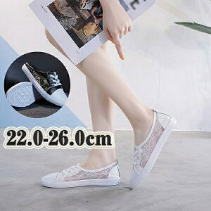 Xj[J[T_ fB[X 2cm [q[ ؂񂽂  [X  V[X[ tbg ƂȂ Ƃ 傫TCY i JWA 킢 X|[eB 