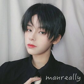 楽天市場 男装 ウイッグの通販