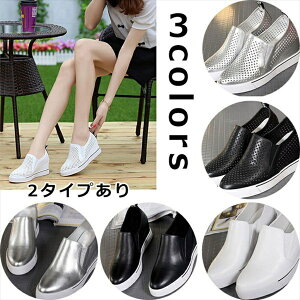 bV Xj[J[  H Xb| Cq[ [Jbg [t@[ Xj[J[  Cq[ Xb| ʋC Xj[J[ Cq[Xb| 傫TCY [Jbg Cq