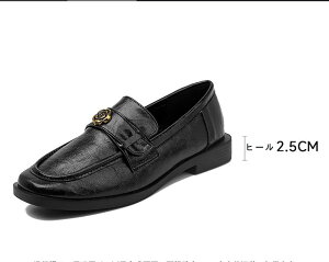 [t@[ fB[X tbgV[Y 2FWJ ʋ JWA ₷ C ubN U[V[Y q[ 傫TCY PC uE ubN 22.5-26.0O[[p[N