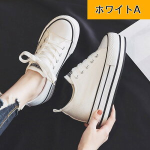 Xj[J[ YbNC  Cq[ EFbWq[ C\[ }WbNe[v TCY V[Y fB[X C r  Xj[J[ 킢   JWA 