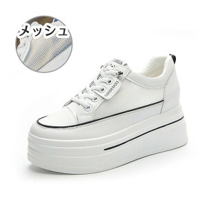 Xj[J[  Cq[ EFbWq[ C\[ bV X|[eB TCY V[Y fB[X C r  Xj[J[ 킢   JWA 