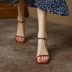 ؚXgbvT_ sq[q[ nCq[ q[T_ fB[X Ƃ  xg C  l V[Y Vv TCY XgbvT_ ANXg