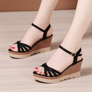 EFbW\[ T_  EGbW\[ T_ fB[X Ƃ q[T_ ANXgbv XgCvT_ 傫TCY TCY Sn悢 