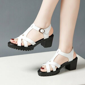 XgCvT_ q[T_  T_ T_ fB[X Ƃ ANXgbv 傫TCY TCY Sn悢  r l  C  