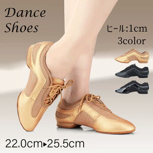 _XV[Y fB[X Ќ_X V[Y pvX _Xq[ Xgbv fB[XC Kp o \ Cxg _AepЌ_XV[Y 傫TCY y